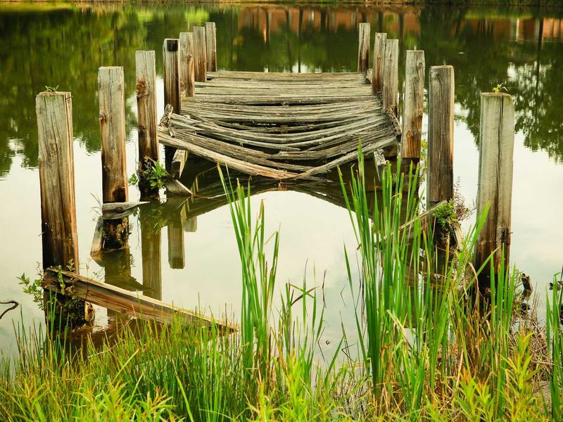 Bangladesh landscape